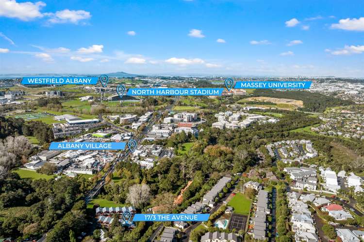 17/3 The Avenue Albany_15