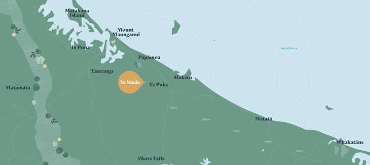 83 Dunlop Road, Te Puke, Bay of Plenty Te Puke_7