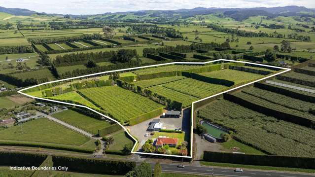 Immaculate Kiwifruit Orchard with Options