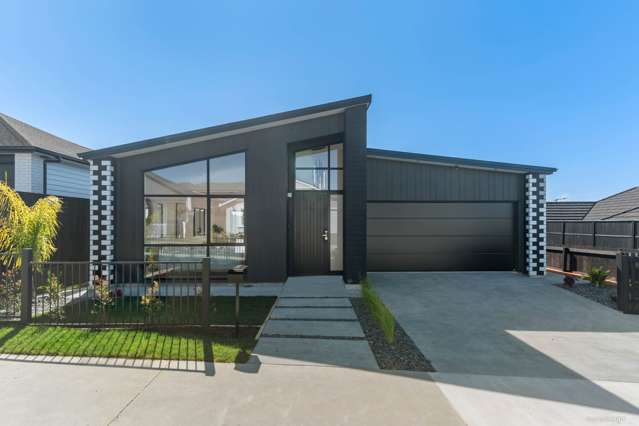 Stylish Brand New Home