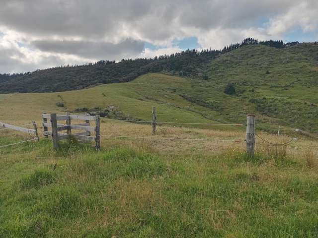 Lot 2 & 3/36 Te Moho Road Taipa_4