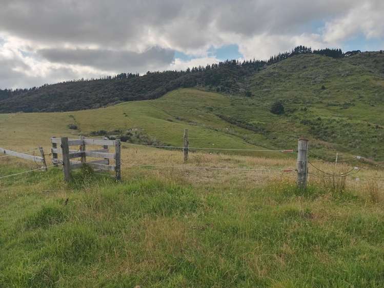 Lot 2 & 3/36 Te Moho Road_4