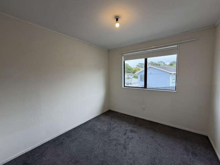 27H Rehia Road Massey_7