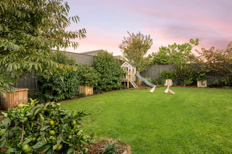 5 Harris Street Mount Maunganui_3