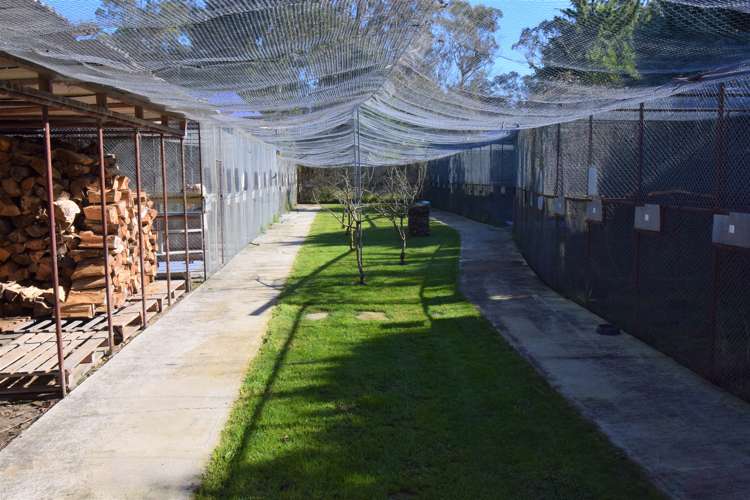 245 Pukeuri-Oamaru Road Pukeuri_15