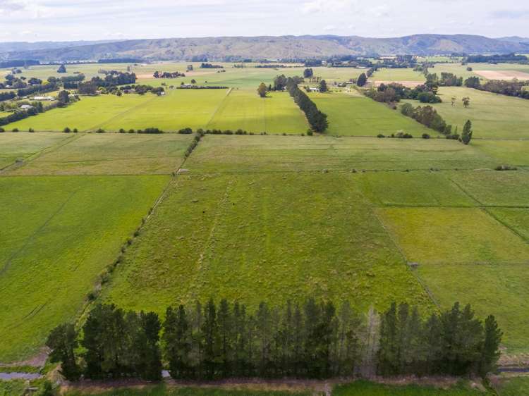 179 Bidwills Cutting Road Greytown_13