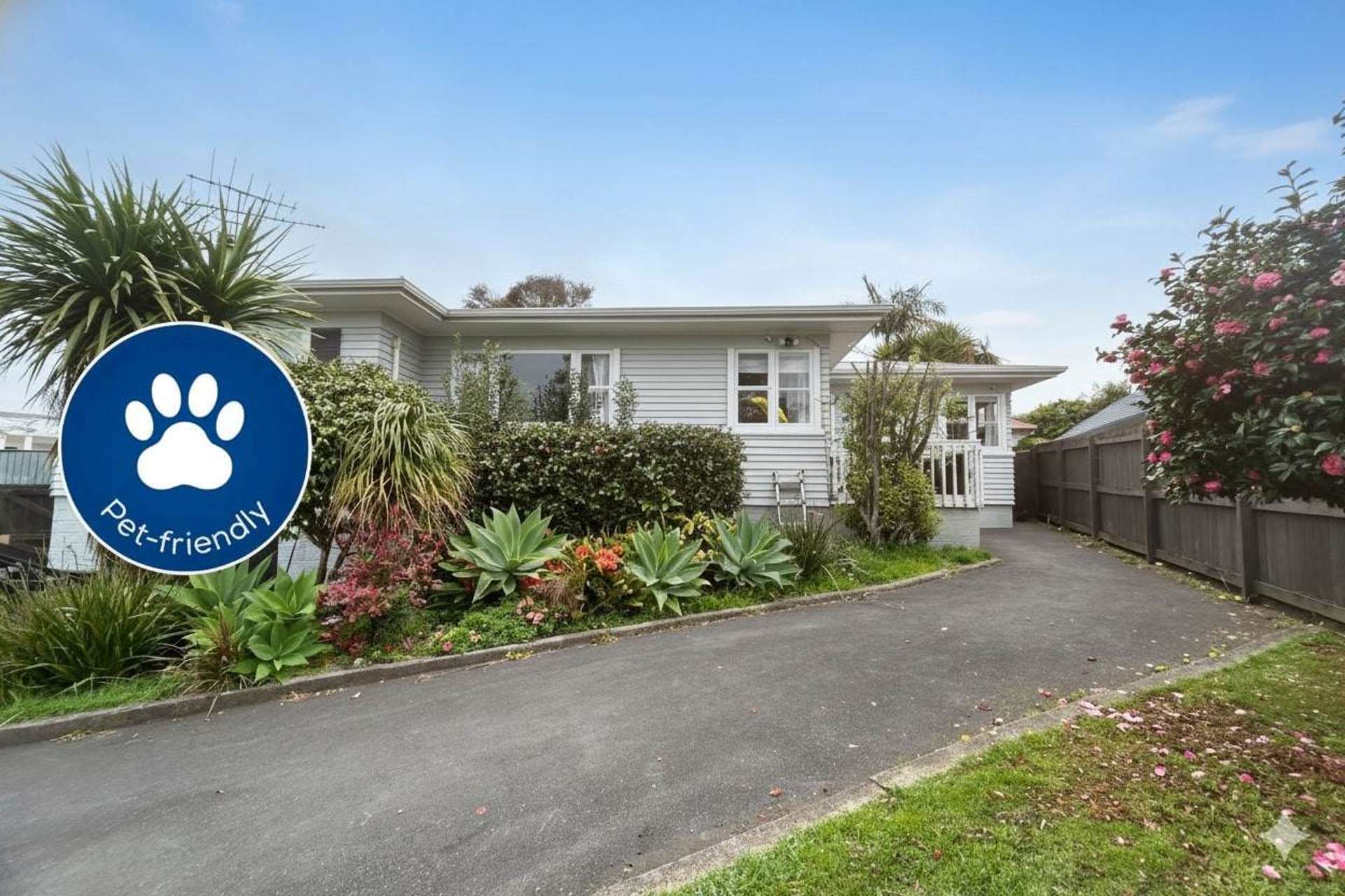 33 Nelson Street Howick_0