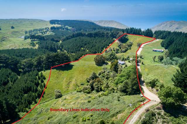 1447 Ridgemount Road Tutira_3