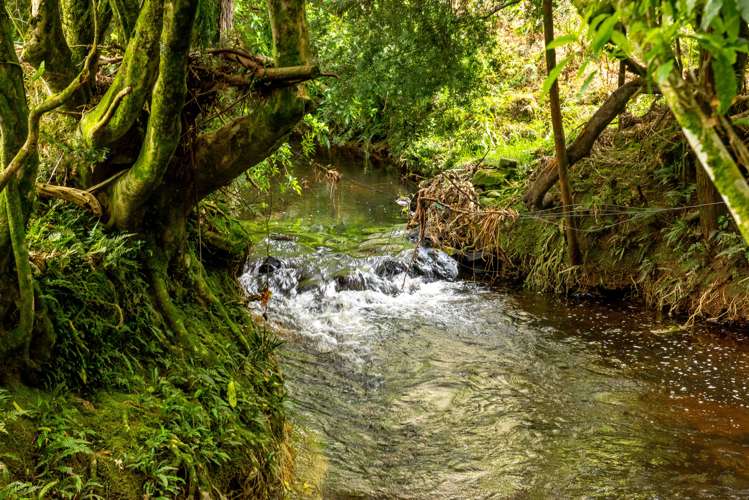 1037 Puketotara Road Okaihau_24