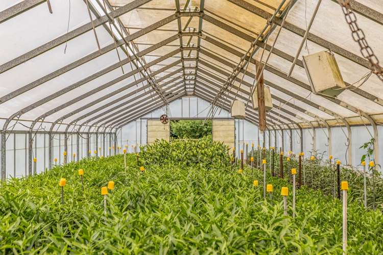 418 Appleby Highway Appleby_30