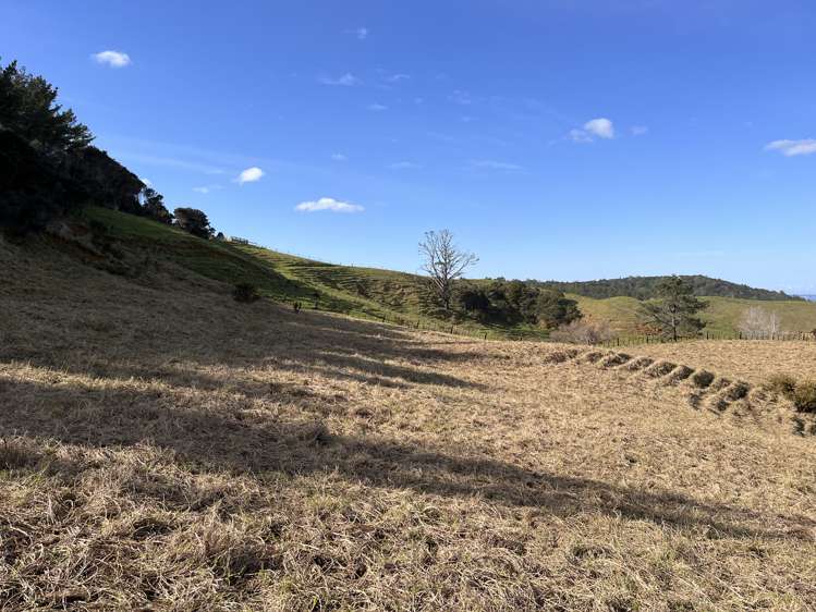 386 Cowan Bay Road Warkworth_9