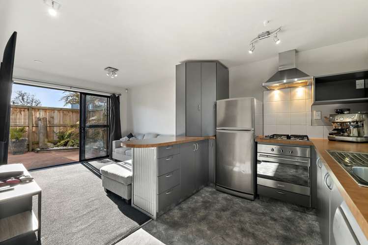 115a Hastings Street East Sydenham_7