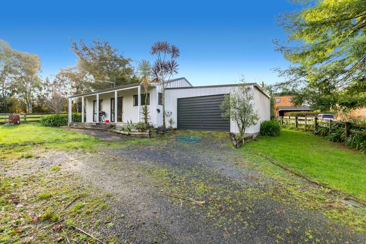 99 Postman Road Dairy Flat_5