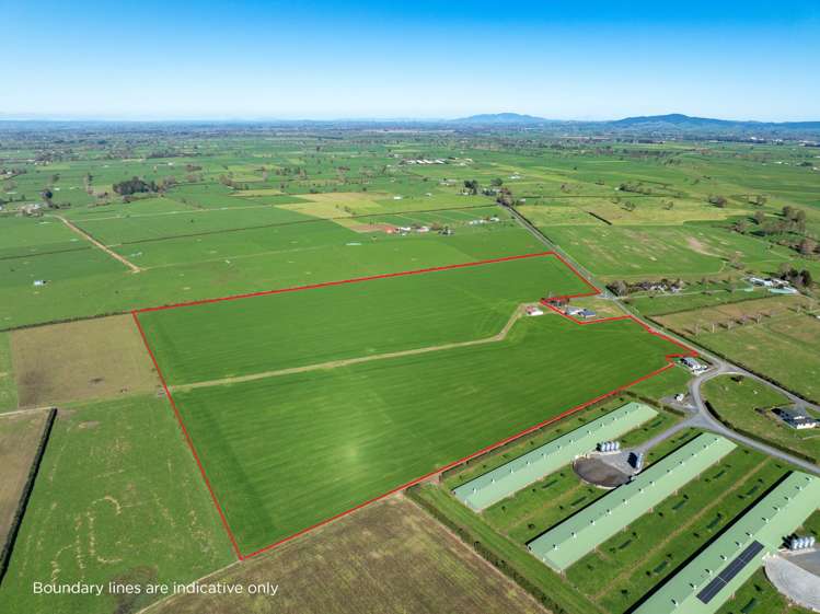Maiseys Road Matamata_9