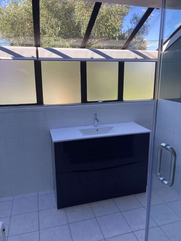 47 Tripoli Road Panmure_5