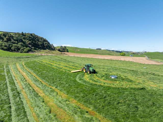 231A Morgan Road Matamata_3