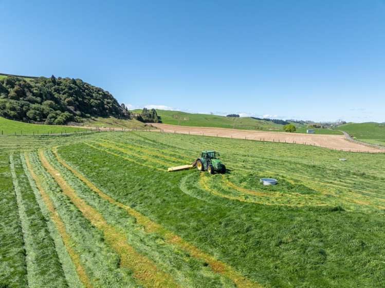 231A Morgan Road Matamata_3