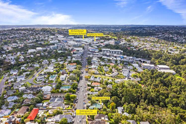 139 Hinemoa Street Birkenhead_21