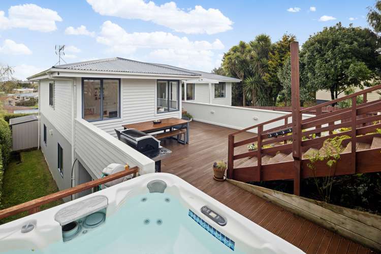 673 Picquet Hill Road Te Awamutu_2