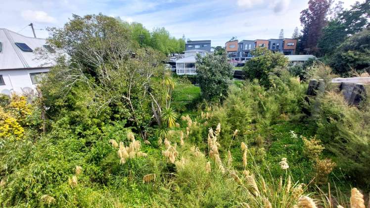 8/10 Rimu Street 1732_20