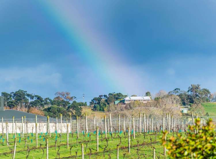 214 Taylor Road Waimauku_14