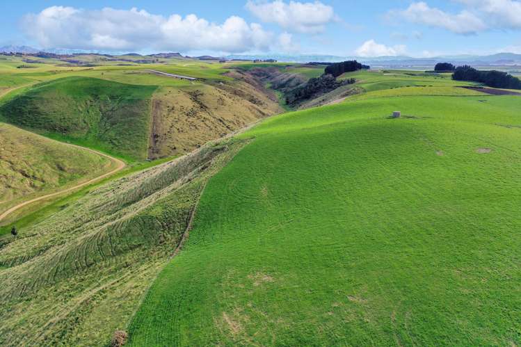 393A Pukeuri-Oamaru Road_5
