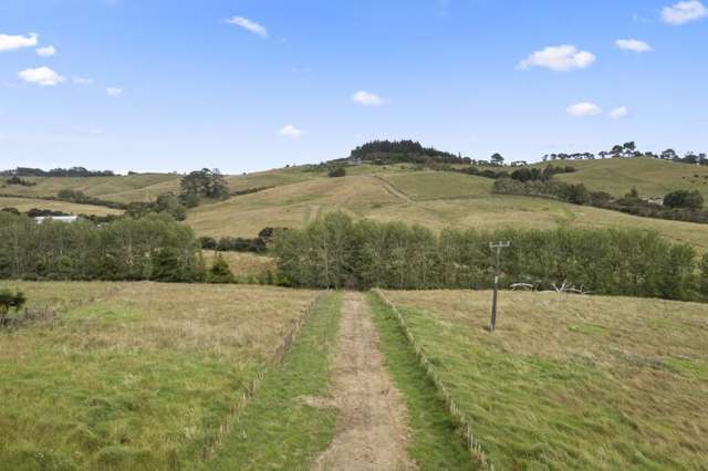 Lot Lot 2 Forestry Road Waitoki_2