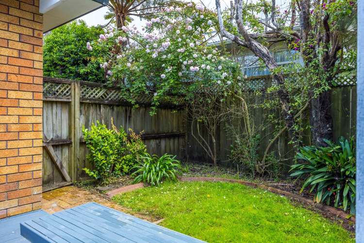 2/229 Campbell Road Greenlane_32