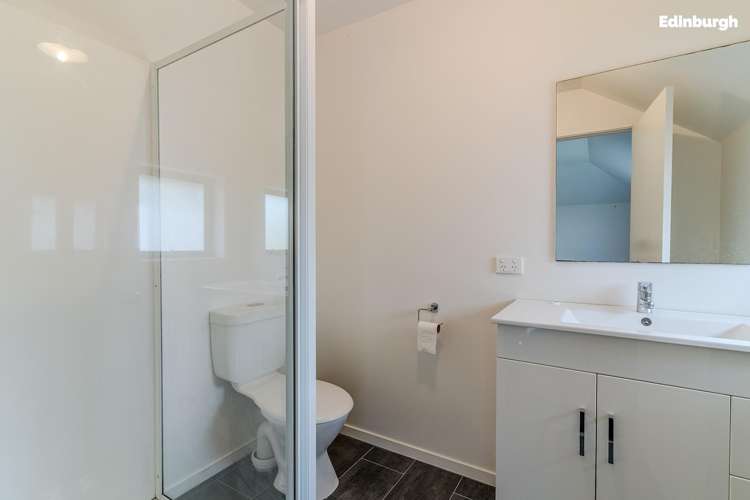 2d Saint David Street North Dunedin_19