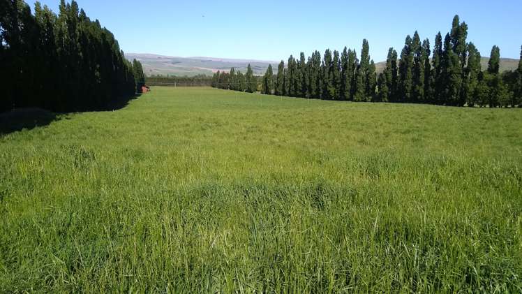 Ettrick Road Roxburgh_13