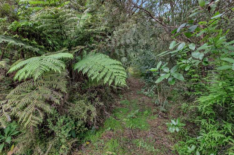 197 Whau Valley Road Whau Valley_34