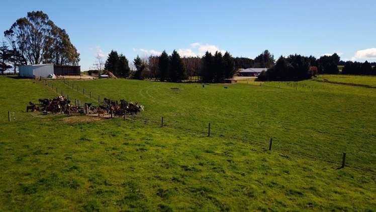 17 Tongue Road Balclutha_21