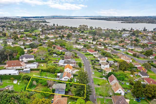 21 Mcculloch Road Panmure_3