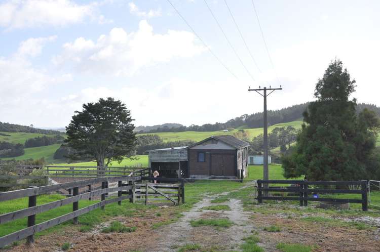 274 Partridge Road Wellsford_7