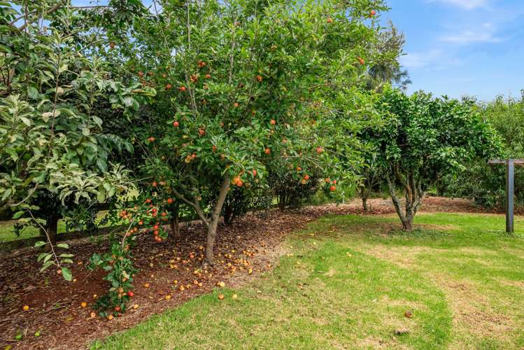 38b Tauraroa Road Maungakaramea_14