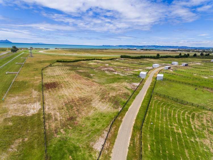 98 Peter Snell Road Ruakaka_16