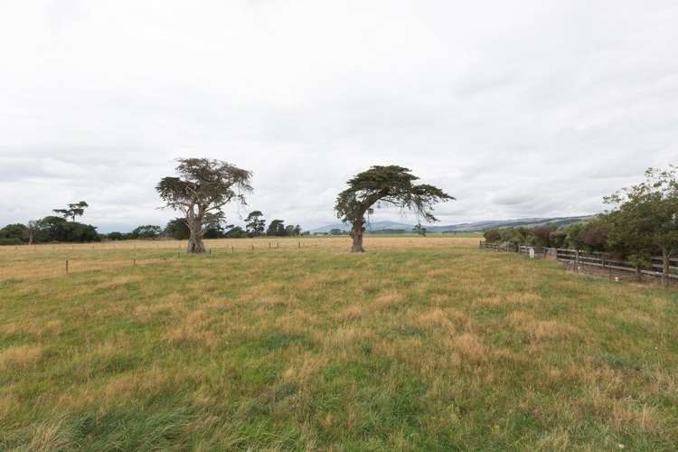 72 Brinkburn Lane Aokautere_44