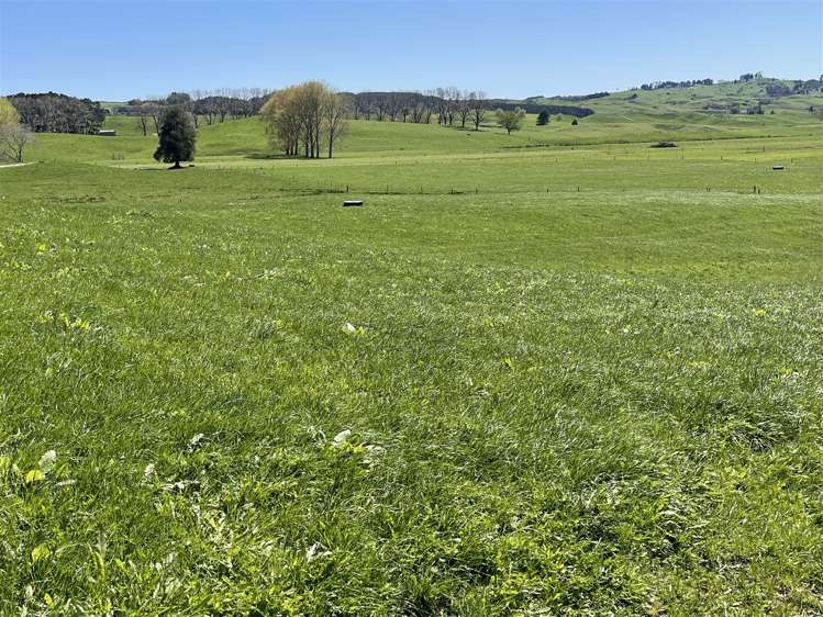 135 Whataroa Road Te Kuiti_5