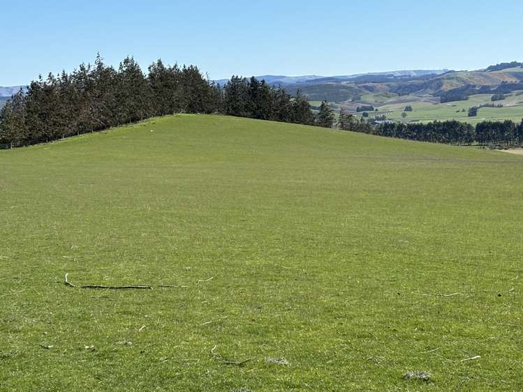 Waihola Highway Waihola_9