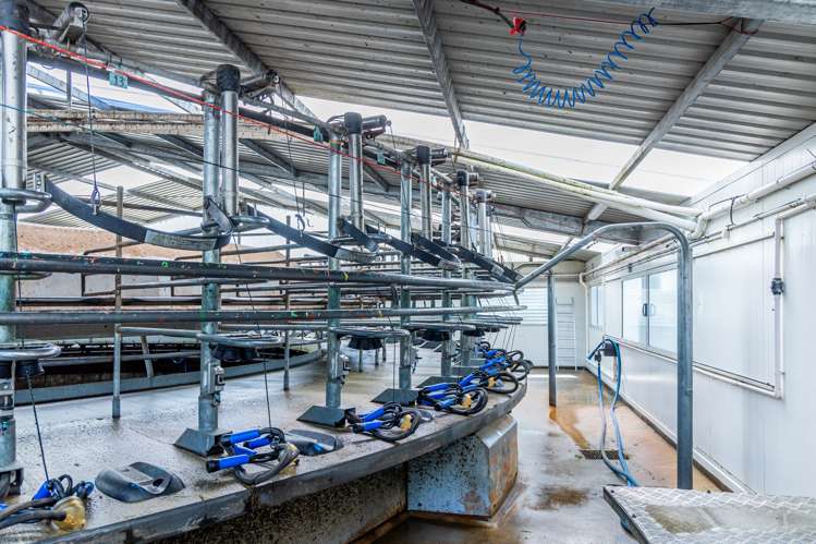 310 Morris Road Morven_6