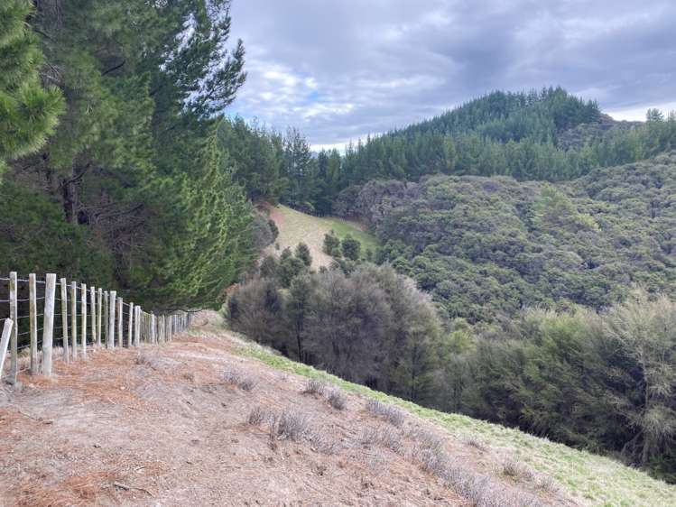 1247 Wharekopae Road Ngatapa_15