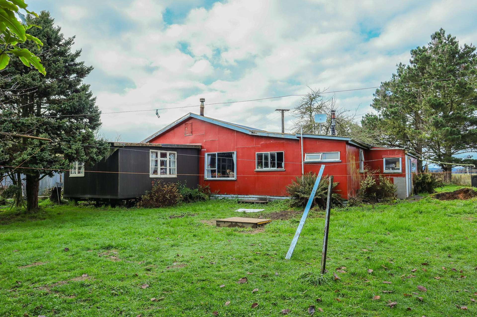 854 Nelson Creek Road Hochstetter_0