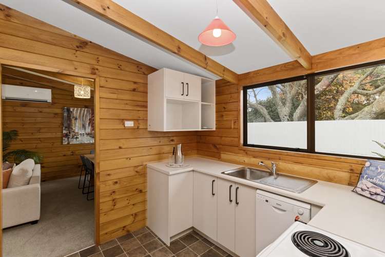 76a Albert Street Hamilton East_4