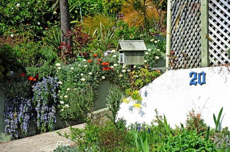 20 Sunbury Street Andersons Bay_1