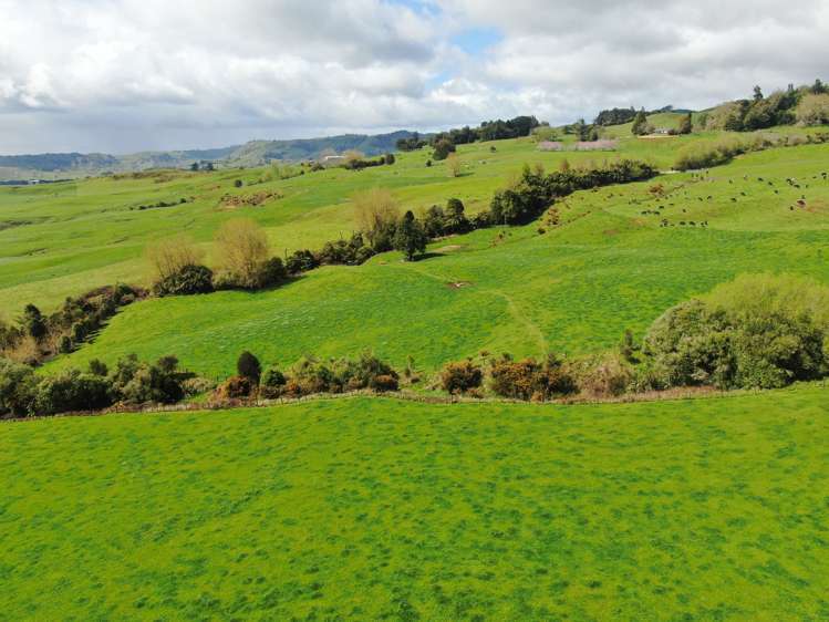 694 Troopers Road Te Kuiti_4
