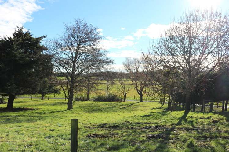 342 Mill Road North Myross Bush_15