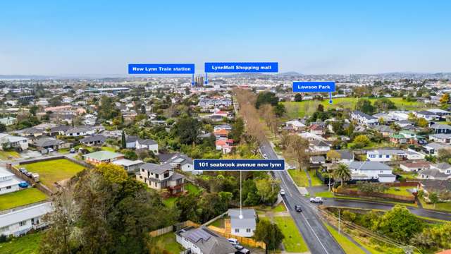 101 Seabrook Avenue New Lynn_3