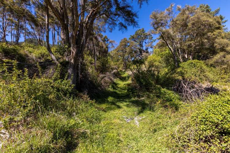 472 Wakamarina Road Canvastown_14