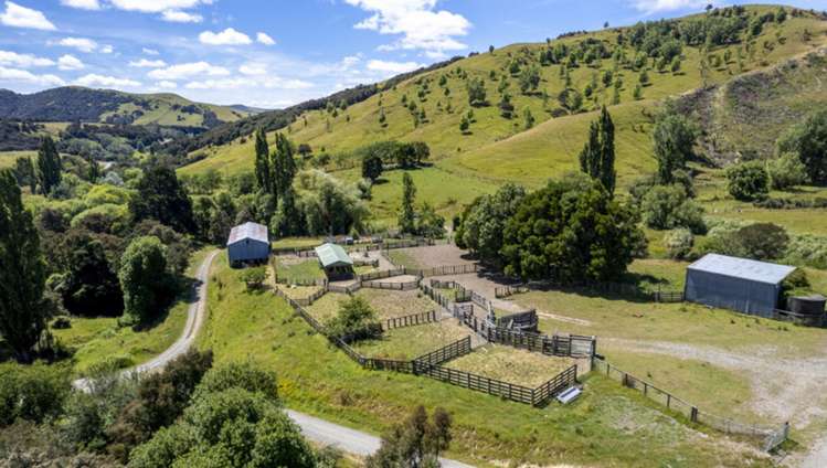 411 Cannock Road Hinakura_6