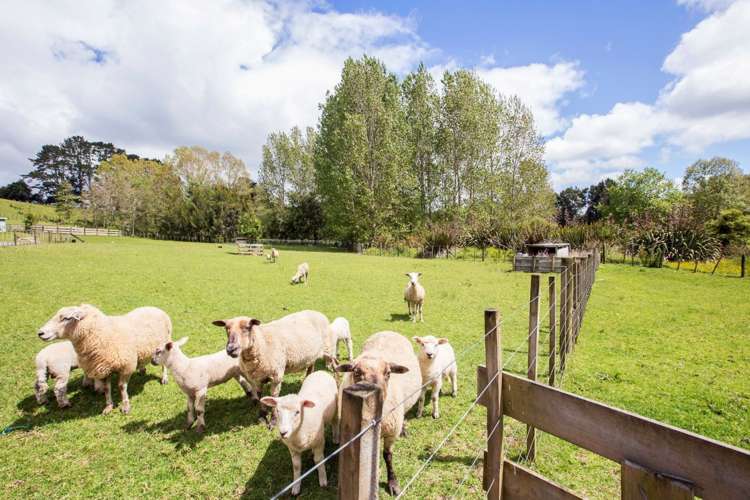 70 Linton Road Kaipara Flats_19